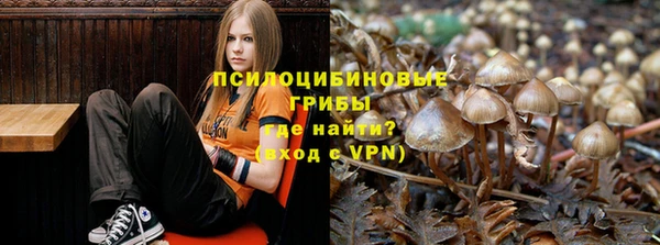 мескалин Богородицк