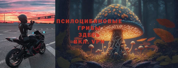соль ск Бронницы