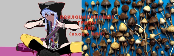 COCAINE Бородино