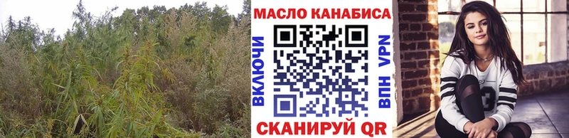купить наркотики цена  Кемь  ТГК гашишное масло 