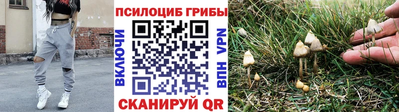 Псилоцибиновые грибы GOLDEN TEACHER Кемь