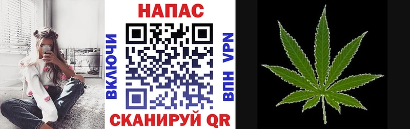 Шишки марихуана конопля  Кемь 